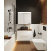 Підвісна тумба з дзеркалом у ванну (дзеркальна шафа) Elita Special 120 2D TECHNOBOX + LED, 120,6x70x15,2 см (168927) Підвісна тумба з дзеркалом у ванну (дзеркальна шафа) Elita Special 120 2D TECHNOBOX + LED, 120,6x70x15,2 см (168927)