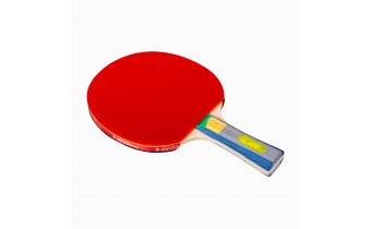 Ракетка для настільного тенісу Giant Dragon Karate P40+, Sportive 4*, Pim-in 1,9мм