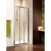 Душові двері в нішу Radaway Treviso DW 100 (32323-01-01N)