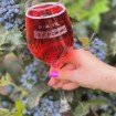 Келих для вина з індивідуальним гравіруванням (Win-B6)