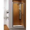 Душові двері в нішу Radaway Premium Plus DWJ 100 (33303-01-08N)