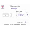 Прямий диван нерозкладний ТМ Віка Редфорд 3 / Redford 3 (VK-96) Прямий диван нерозкладний ТМ Віка Редфорд 3 / Redford 3 (VK-96)