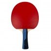 Ракетка Butterfly Timo Boll Sapphire (raktb7)