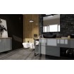 Прямокутне дзеркало у ванну Elita Rama 100/80 Black 19 мм, 100x80x2 см (167583) Прямокутне дзеркало у ванну Elita Rama 100/80 Black 19 мм, 100x80x2 см (167583)