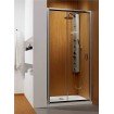 Душові двері в нішу Radaway Premium Plus DWJ 140 (33323-01-01N)