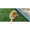 Сифон для ванни ретро Besco Retro Otylia Gold klik-klak з переливом, золотий колір (SW-PRZ-ZLO) Сифон для ванни ретро Besco Retro Otylia Gold klik-klak з переливом, золотий колір (SW-PRZ-ZLO)